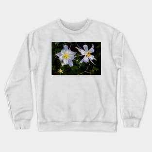 Columbine Crewneck Sweatshirt